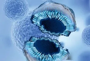 Exosomes