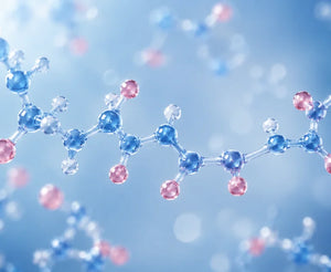 Ceramides